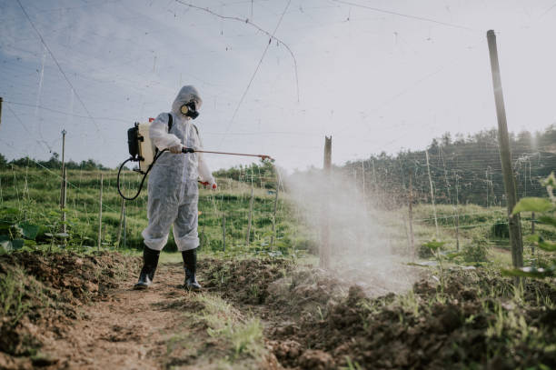 Best Mosquito Control Services  in Aspermont, TX