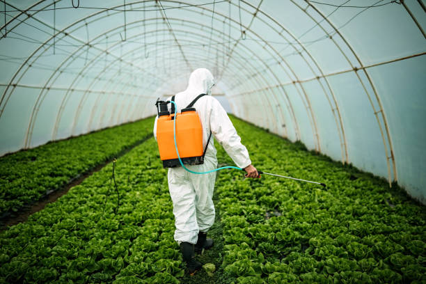Best Best Pest Control Companies  in Aspermont, TX