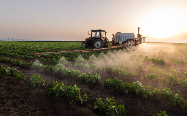 Best Ant Control Services  in Aspermont, TX