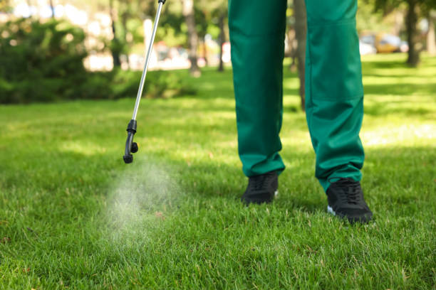 Best Local Pest Control Services  in Aspermont, TX