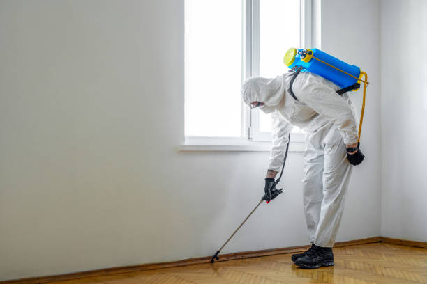 Wildlife Control Services in Aspermont, TX