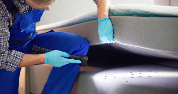 Professional Pest Control in Aspermont, TX