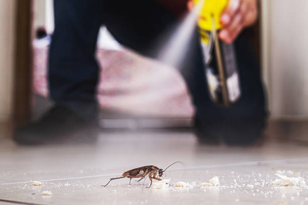 Best Best Pest Control Companies  in Aspermont, TX