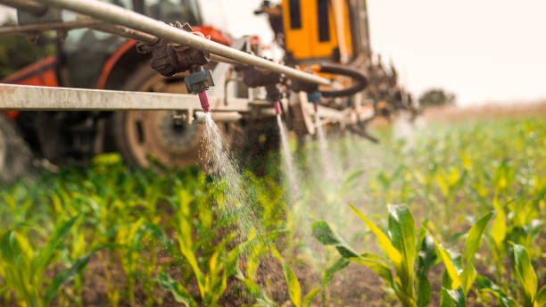 Best Pest Control for Homes  in Aspermont, TX